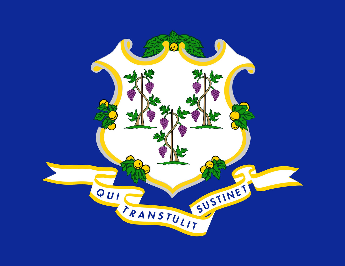 Connecticut State Flag Sticker Decal - Hartford, USA