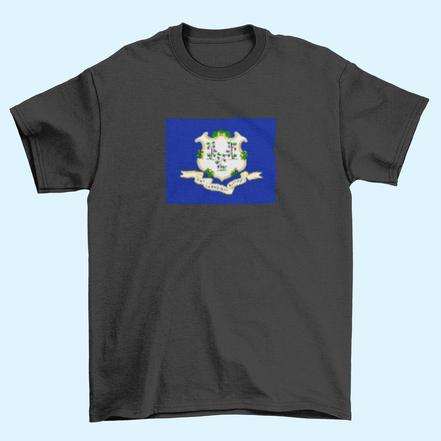 State of Connecticut Flag Iron On Heat Transfer Vinyl HTV Connecticut State  Hartford  The Constitution State  Nutmeg State  Provision State