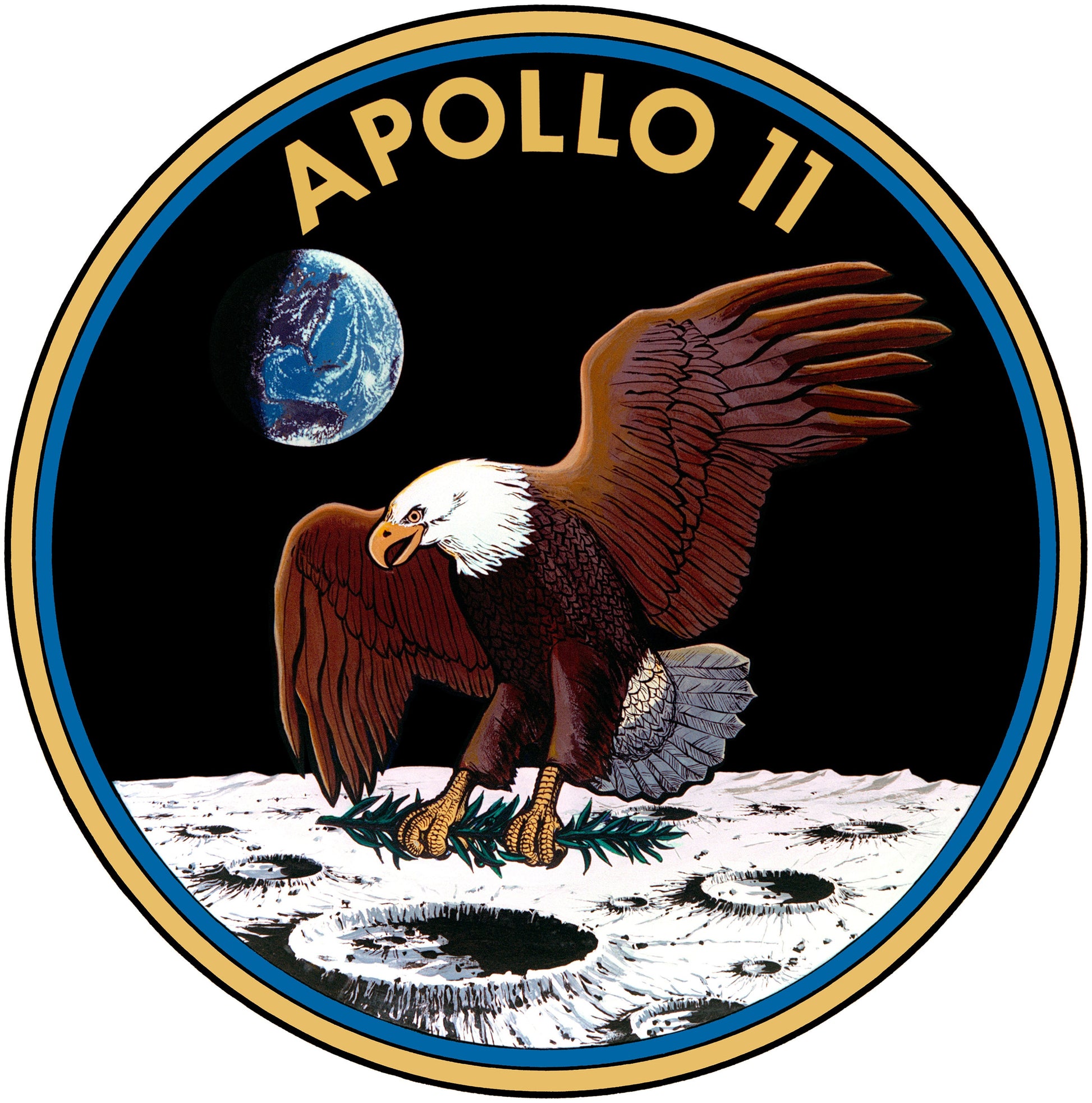 a picture of an eagle on the moon with the earth in the background