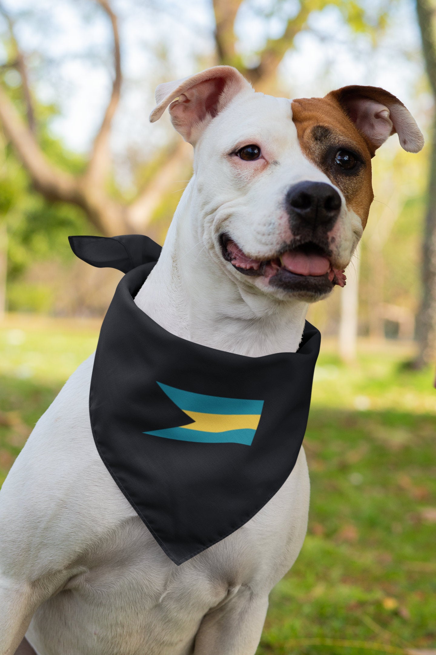 The Bahamas Flag Iron On Heat Transfer Vinyl HTV / Nassau / Commonwealth of The Bahamas / Bahamian