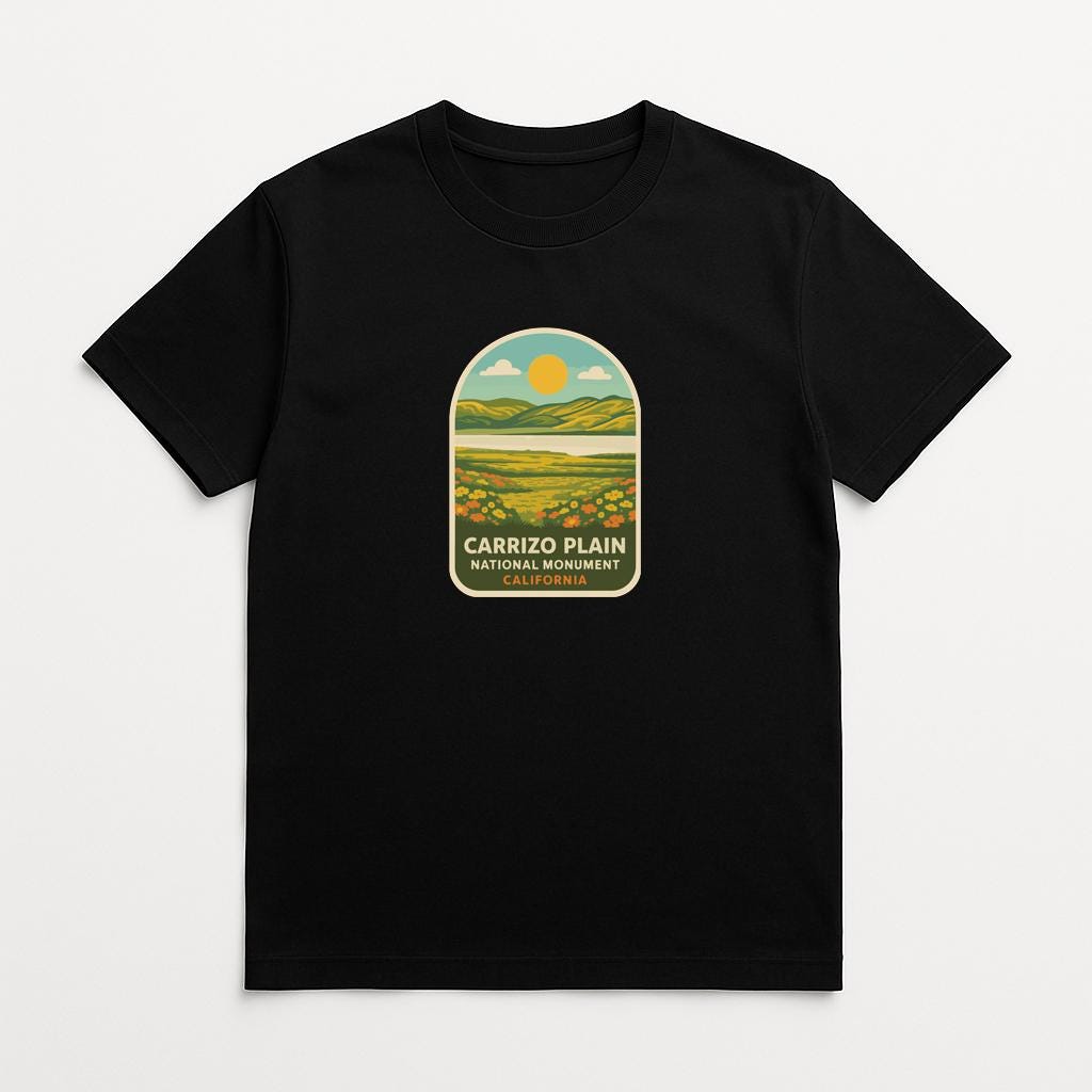 A black t-shirt with a graphic design depicting a scenic landscape with mountains, a lake, and a sun.
