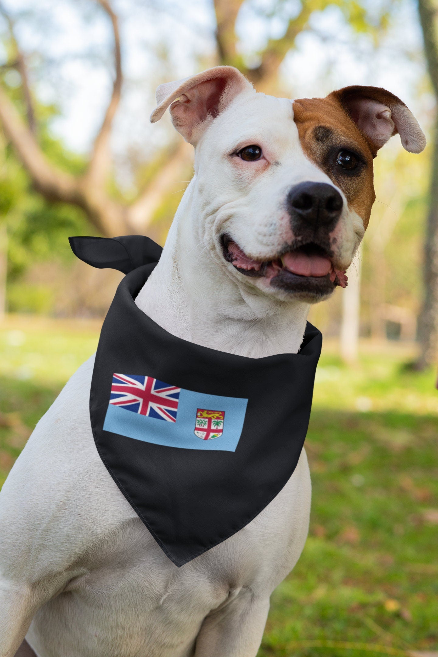 Fiji Flag Iron On Heat Transfer Vinyl HTV / Republic of Fiji / Rerevaka na Kalou ka Doka na Tui / Suva / Fijian