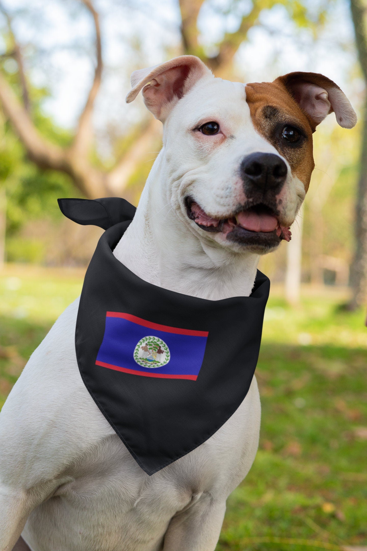 Belize Flag Iron On Heat Transfer Vinyl HTV / Belmopan / Sub umbra floreo / Belizean