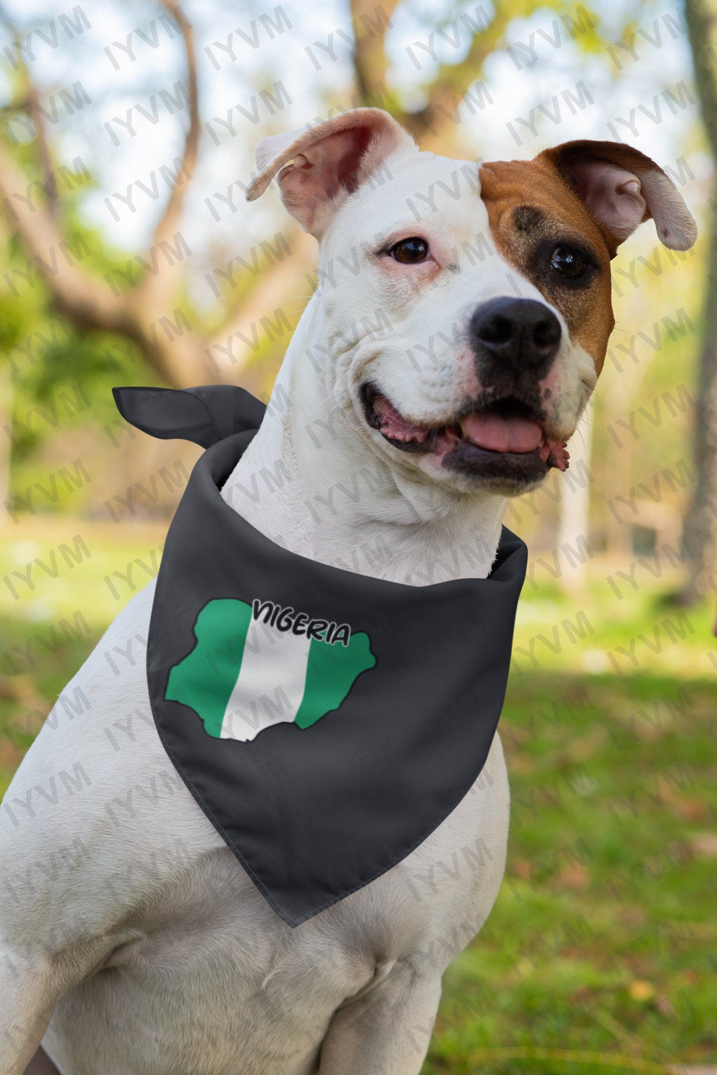 Nigeria Map Flag Iron On Heat Transfer Vinyl HTV / Federal Republic of Nigeria / Unity and Faith, Peace and Progress / Abuja