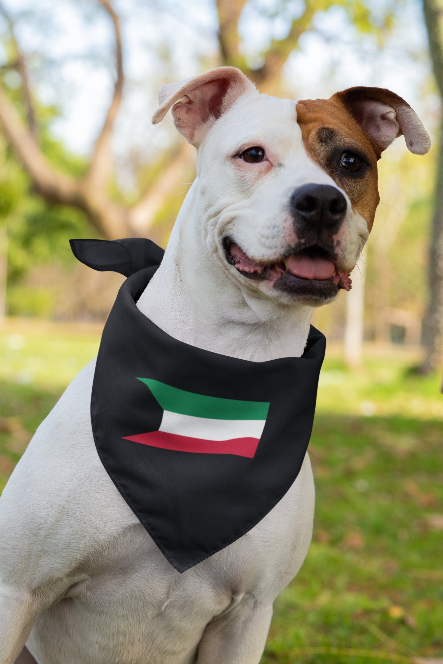 Kuwait Flag Iron On Heat Transfer Vinyl HTV / State of Kuwait / Kuwait City / Kuwaiti