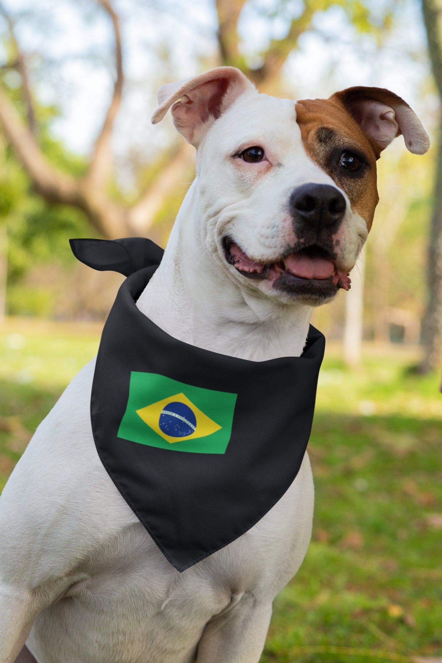 Brazil Flag Iron On Heat Transfer Vinyl HTV / Brasília / Federative Republic of Brazil / Brazilian / Brasil / Ordem e Progresso