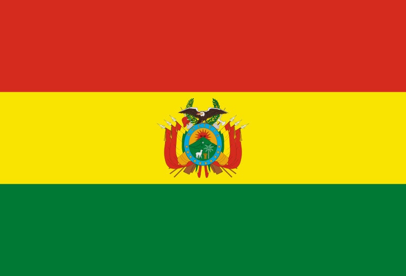 Bolivia Flag Iron On Heat Transfer Vinyl HTV / Sucre / La Unión es la Fuerza / the Plurinational State of Bolivia