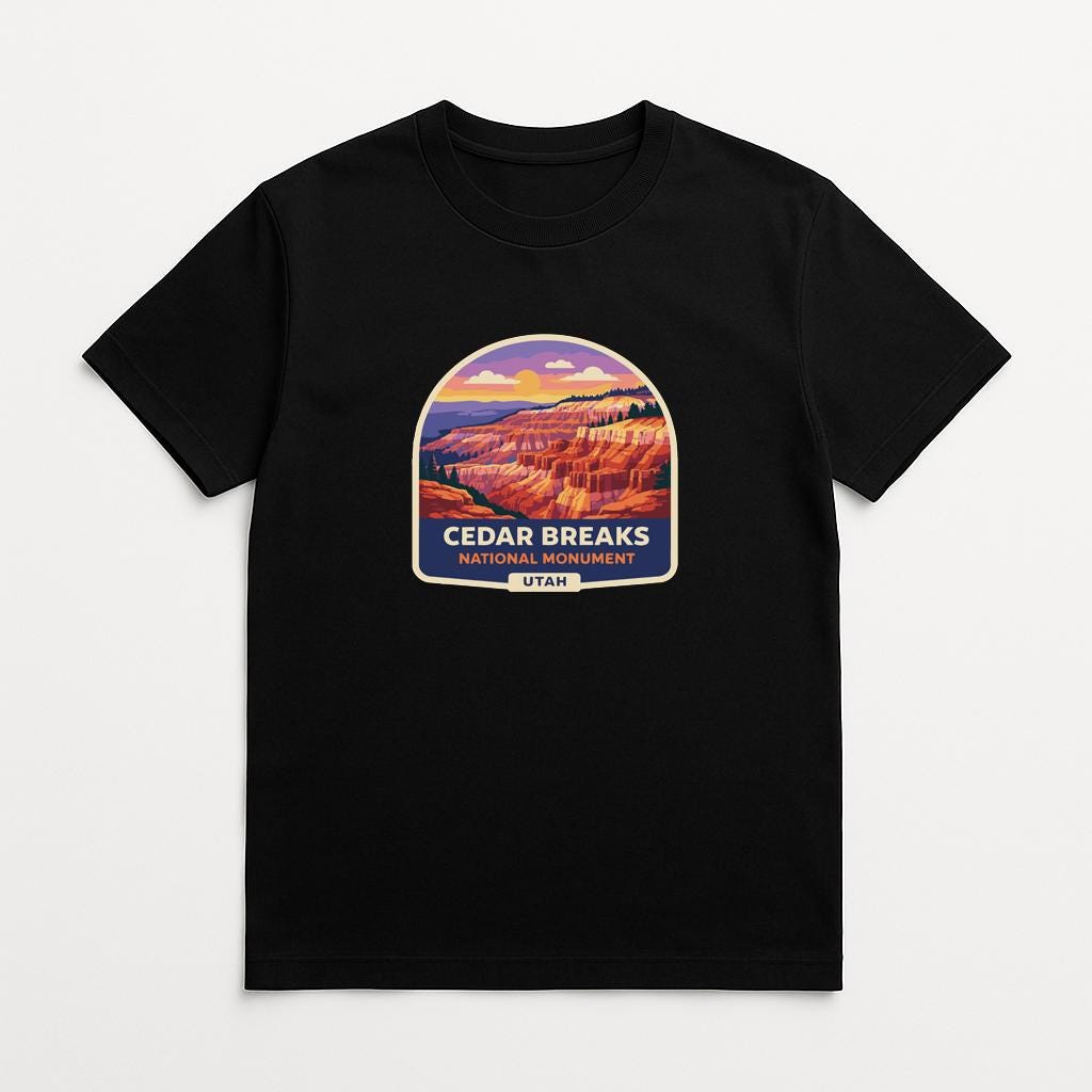 A black t-shirt with a graphic design depicting a scenic landscape with mountains and a sunset.