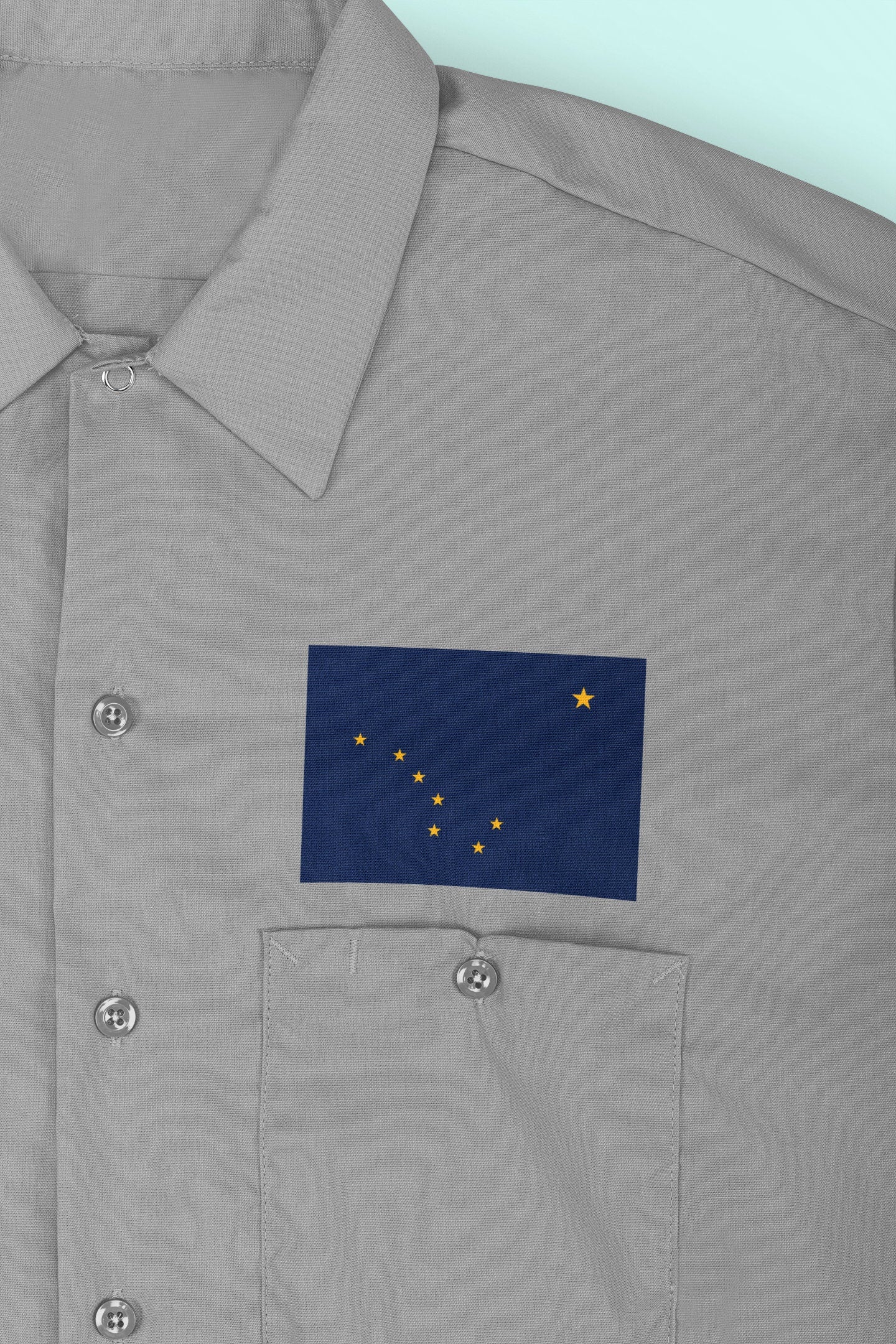 State of Alaska Flag Iron On Heat Transfer Vinyl HTV  Alaska State  Juneau  The Last Frontier