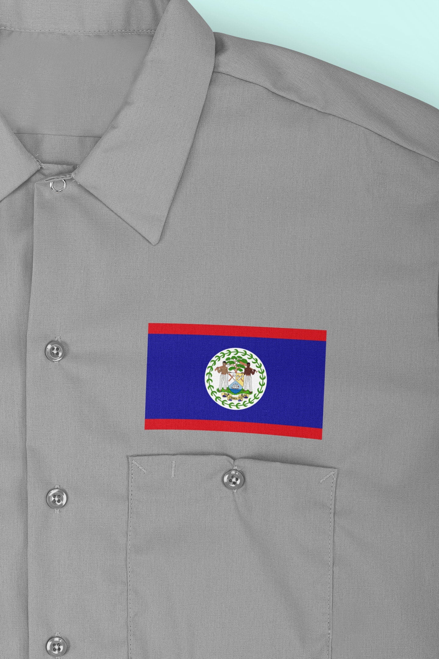 Belize Flag Iron On Heat Transfer Vinyl HTV / Belmopan / Sub umbra floreo / Belizean