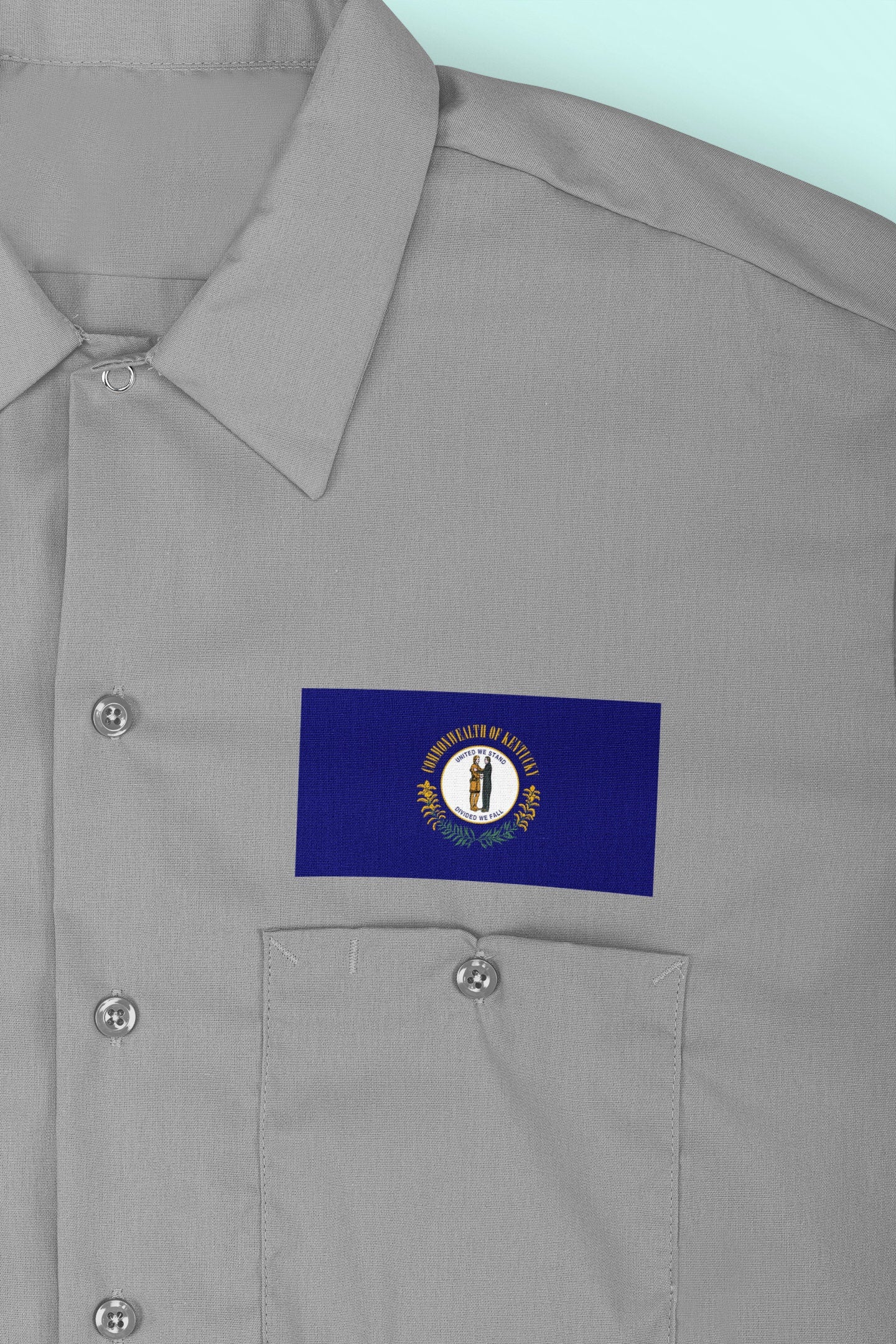 State of Kentucky Flag Iron On Heat Transfer Vinyl HTV  Kentucky State  Frankfort  The Bluegrass State  Corn-cracker State