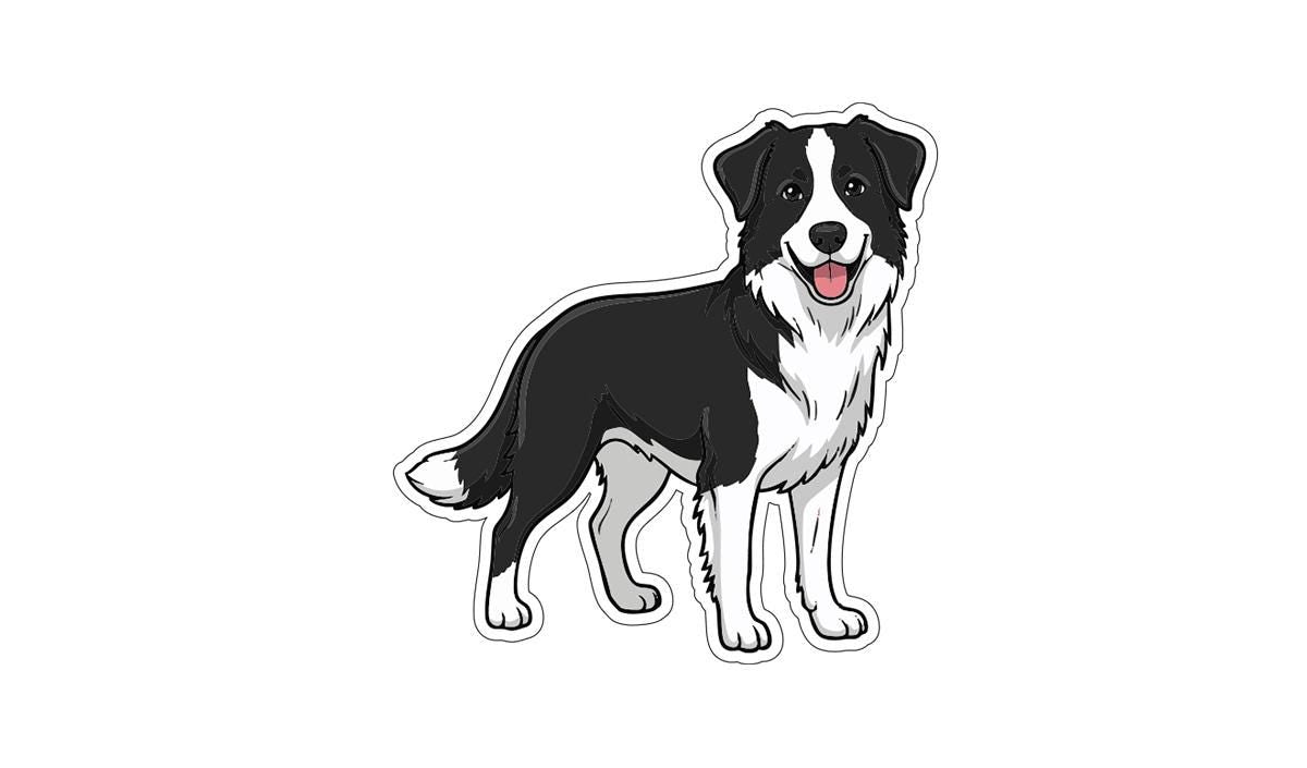 A black and white dog with a happy expression is depicted in the image.