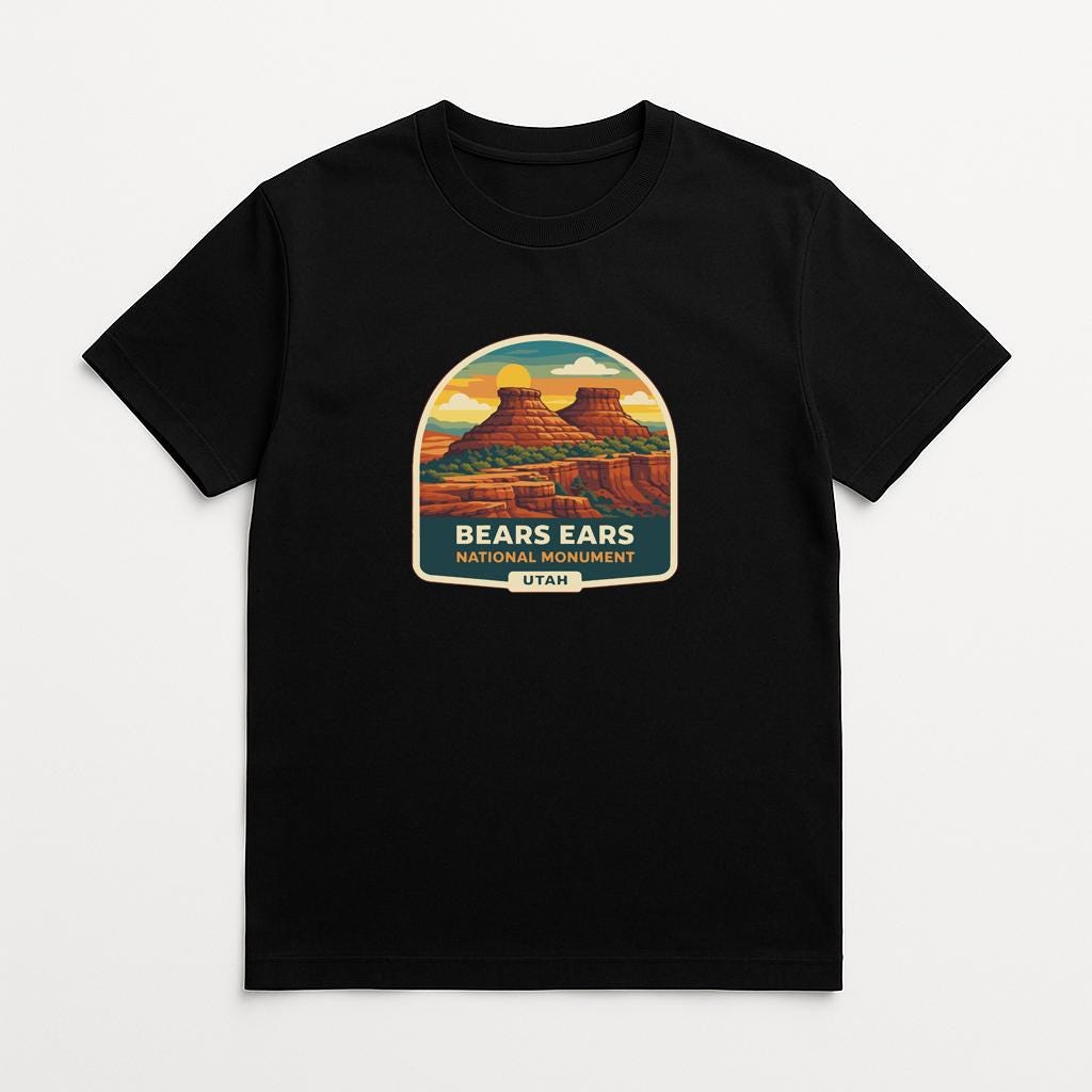 A black t-shirt with a graphic design depicting a scenic landscape with mountains and a desert.