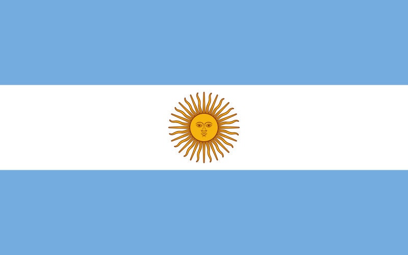 Argentina Flag Iron On Heat Transfer Vinyl HTV / Buenos Aires / En unión y libertad / Argentine Argentinian