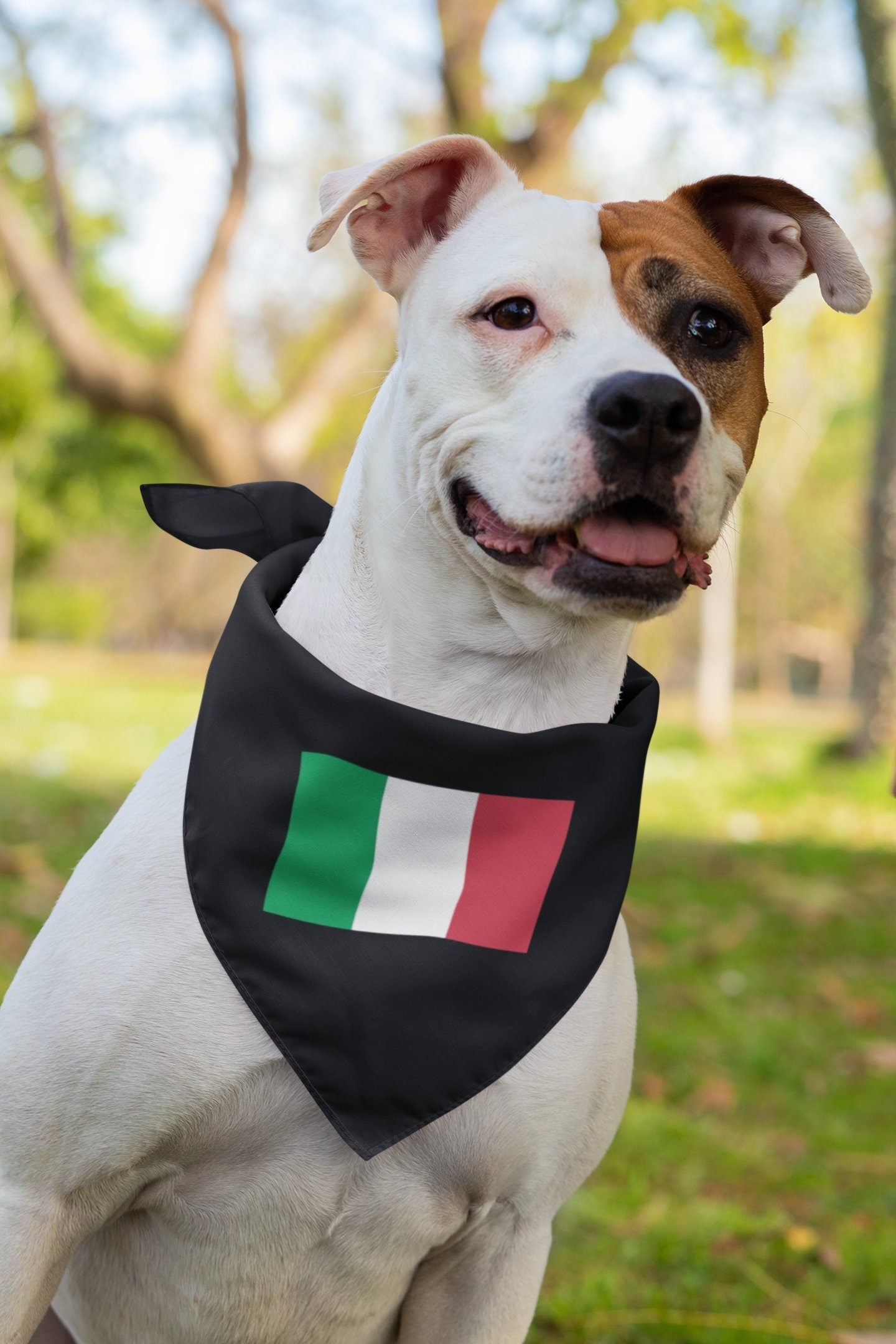 Italy Flag Iron On Heat Transfer Vinyl HTV / Italian Republic / Republic of Italy / Rome /