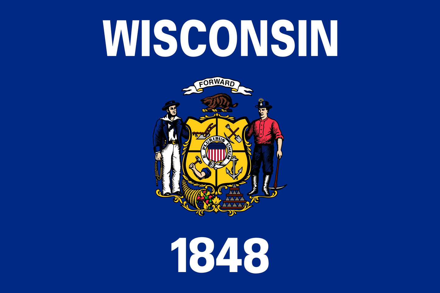 State of Wisconsin Flag Iron On Heat Transfer Vinyl HTV  Wisconsin State  Madison  The Badger State  America's Dairyland  The Mitten State /