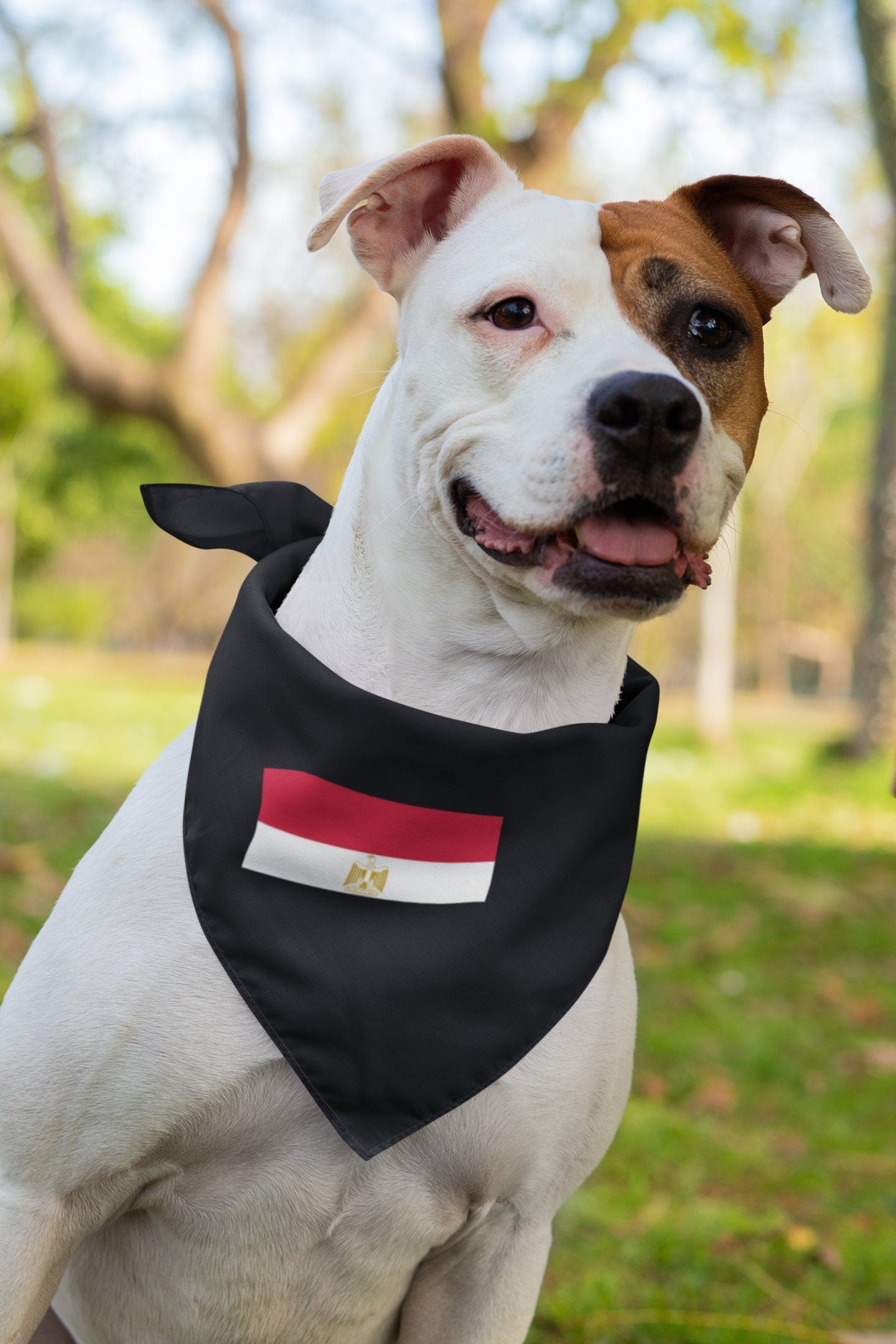 Egypt Flag Iron On Heat Transfer Vinyl HTV / Arab Republic of Egypt / Cairo / Egyptian