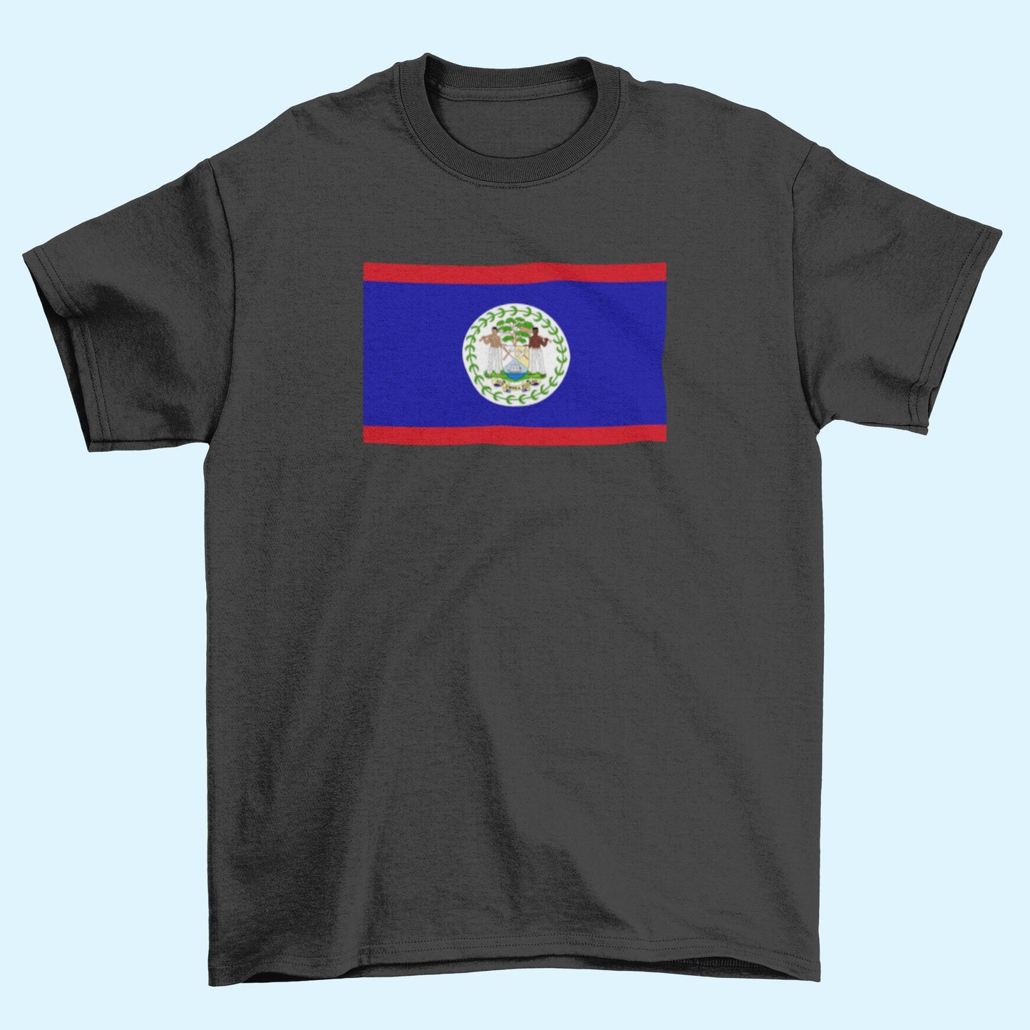 Belize Flag Iron On Heat Transfer Vinyl HTV / Belmopan / Sub umbra floreo / Belizean