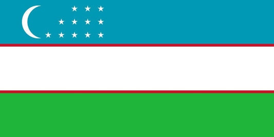 Uzbekistan Flag Iron On Heat Transfer Vinyl HTV / Republic of Uzbekistan / Tashkent / Uzbek / Uzbekistani