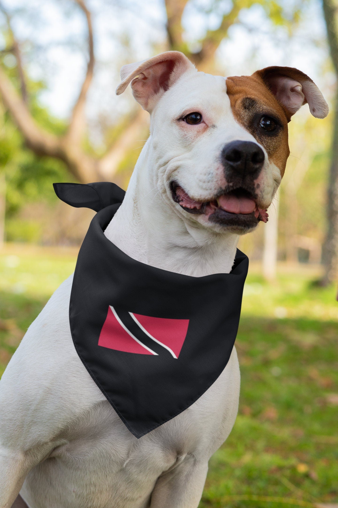 Trinidad and Tobago Flag Iron On Heat Transfer Vinyl HTV / Together We Aspire, Together We Achieve / Port of Spain / Trinbagonian / Trini