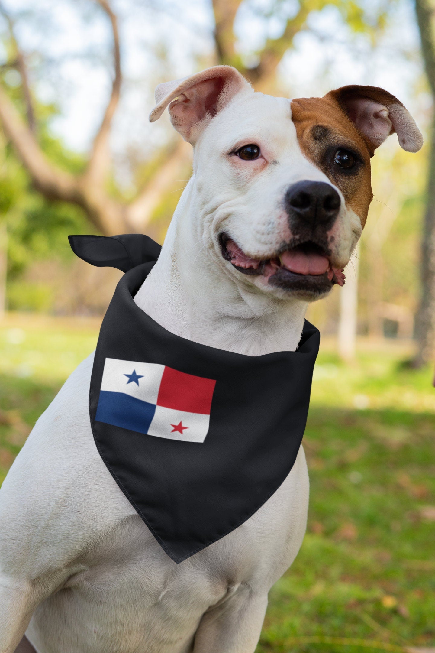 Panama Flag Iron On Heat Transfer Vinyl HTV / Republic of Panama / Pro Mundi Beneficio / Panama City / Panamanian