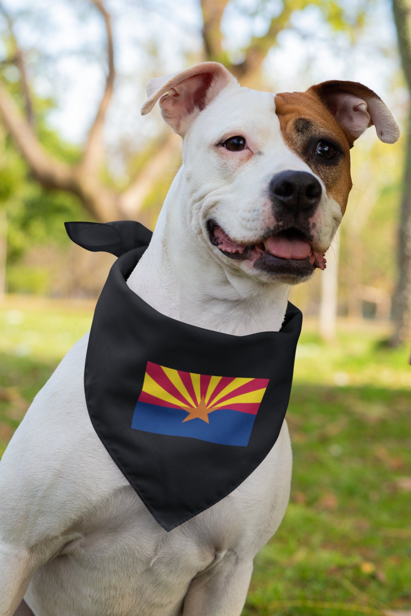 State of Arizona Flag Iron On Heat Transfer Vinyl HTV Arizona State  Phoenix  The Grand Canyon State  Apache State  Aztec State / Baby State