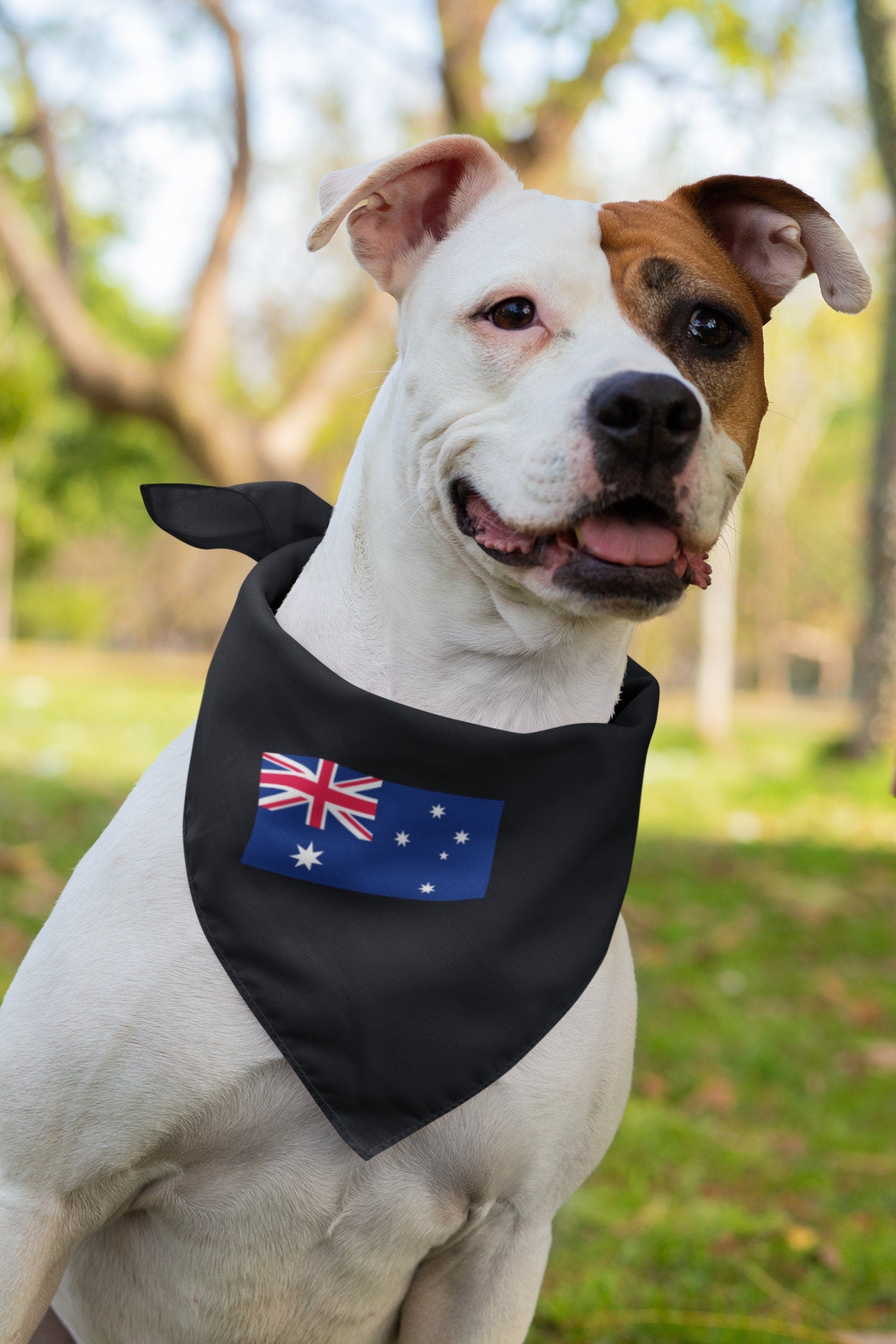 Australia Flag Iron On Heat Transfer Vinyl HTV / Canberra / Australian