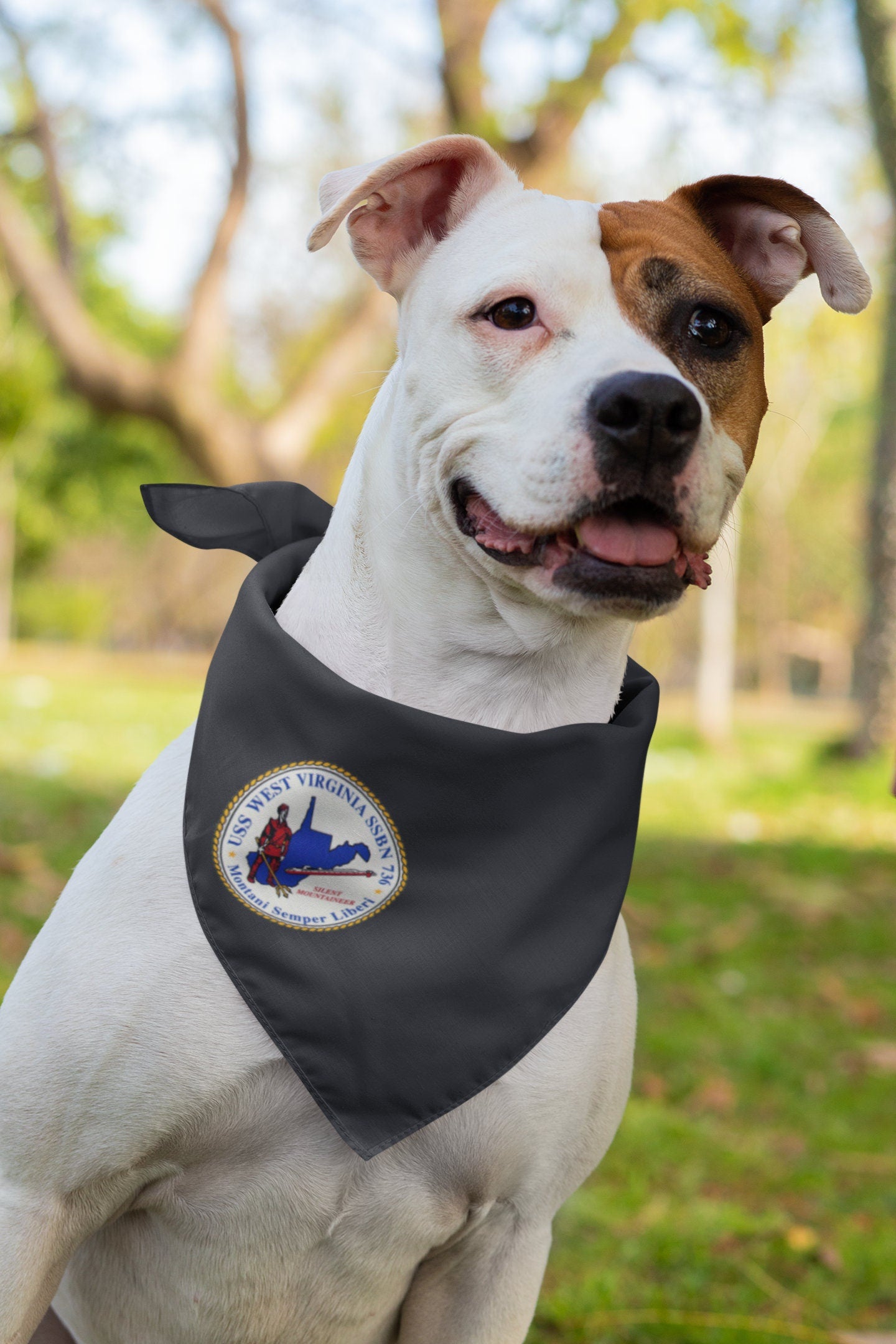 USS West Virginia SSBN-736 Badge Iron On Heat Transfer Vinyl HTV Ohio Class Ballistic missile submarine