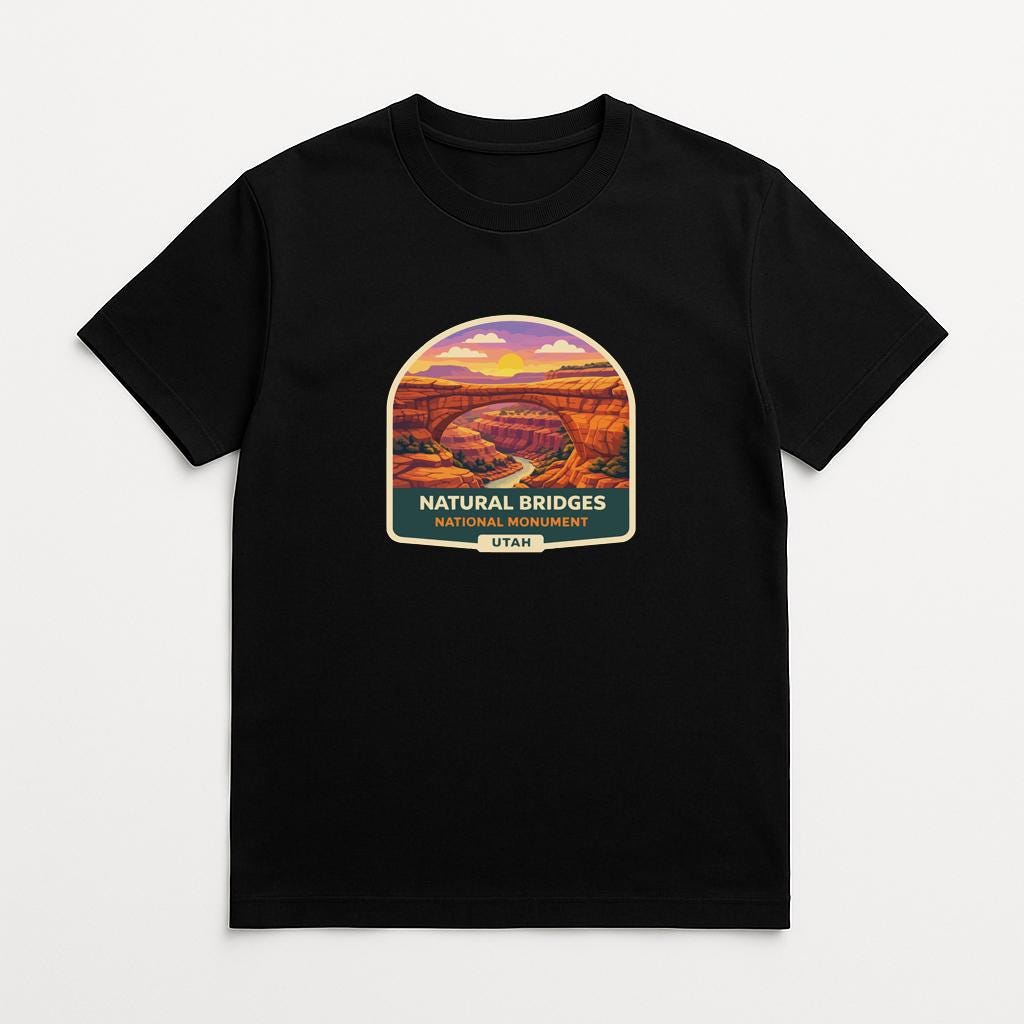 A black t-shirt with a graphic design depicting a scenic landscape with a bridge and mountains in the background.