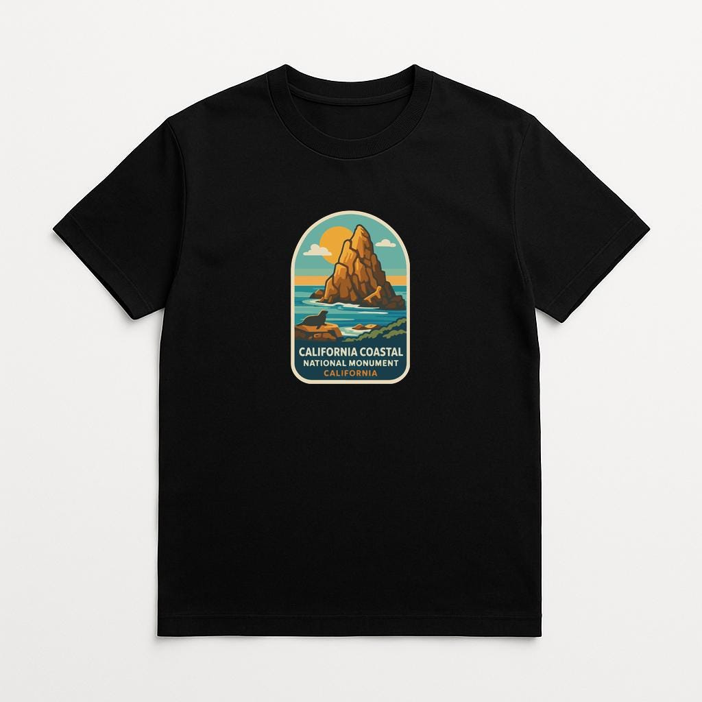 A black t-shirt with a graphic design depicting a mountain and ocean landscape, along with the text "California Coastal National Monument" printed on it.