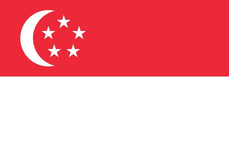 Singapore Flag Iron On Heat Transfer Vinyl HTV / Republic of Singapore / Majulah Singapura / Singaporean /