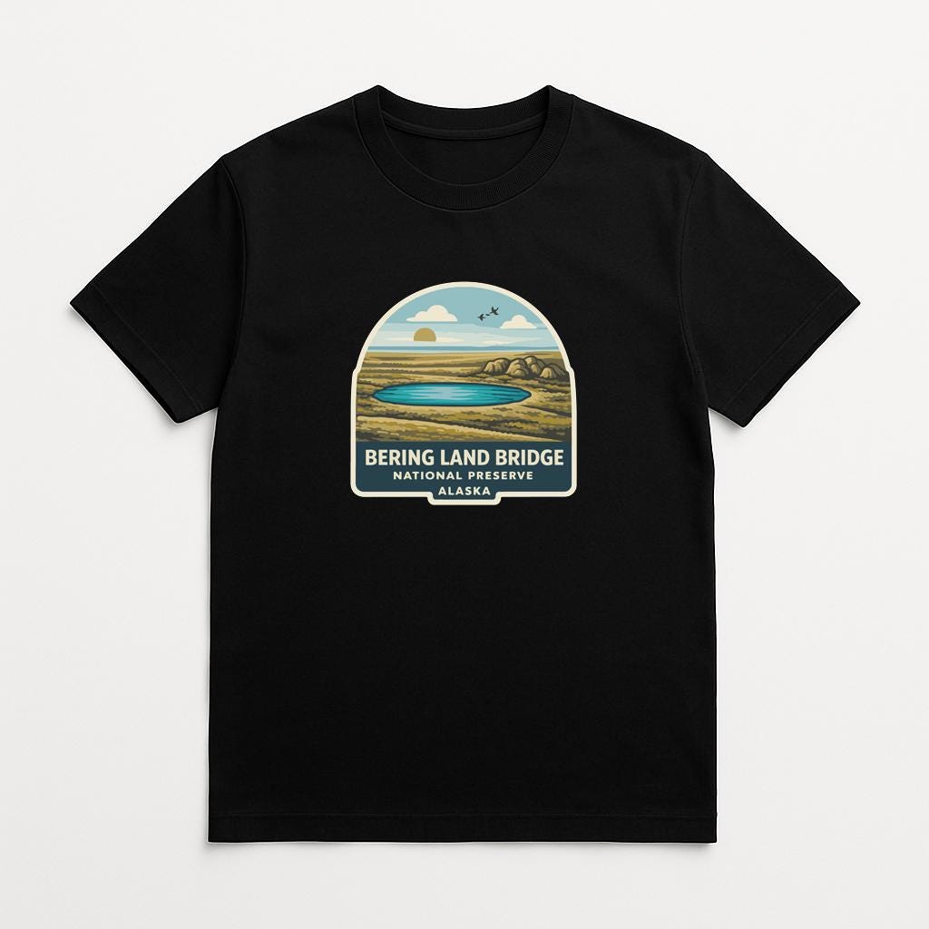 A black t-shirt with a graphic design depicting a scenic landscape with a lake, mountains, and a sunset.