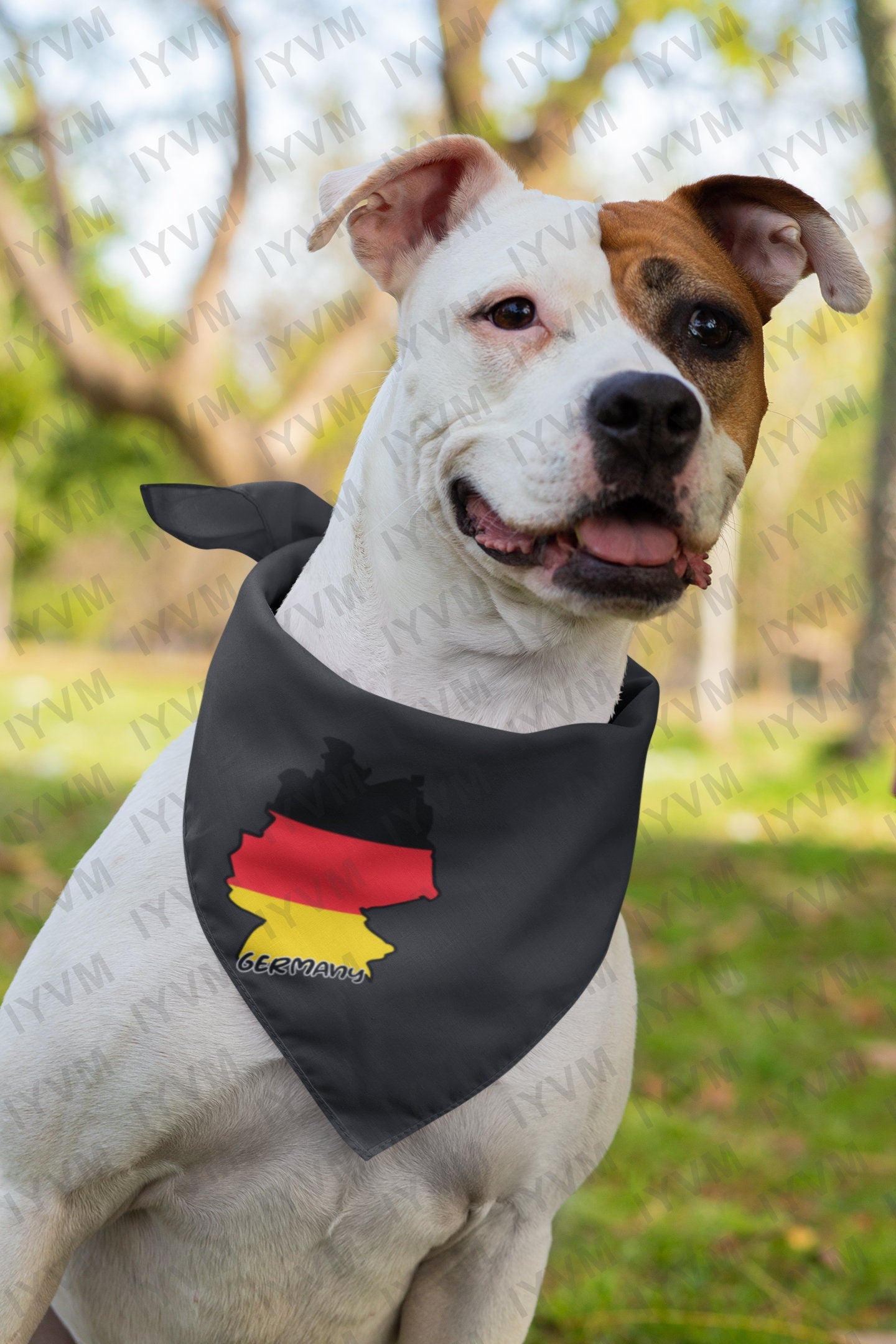 Germany Map Iron On Heat Transfer Vinyl HTV / Federal Republic of Germany / Berlin / German / Bundesrepublik Deutschland