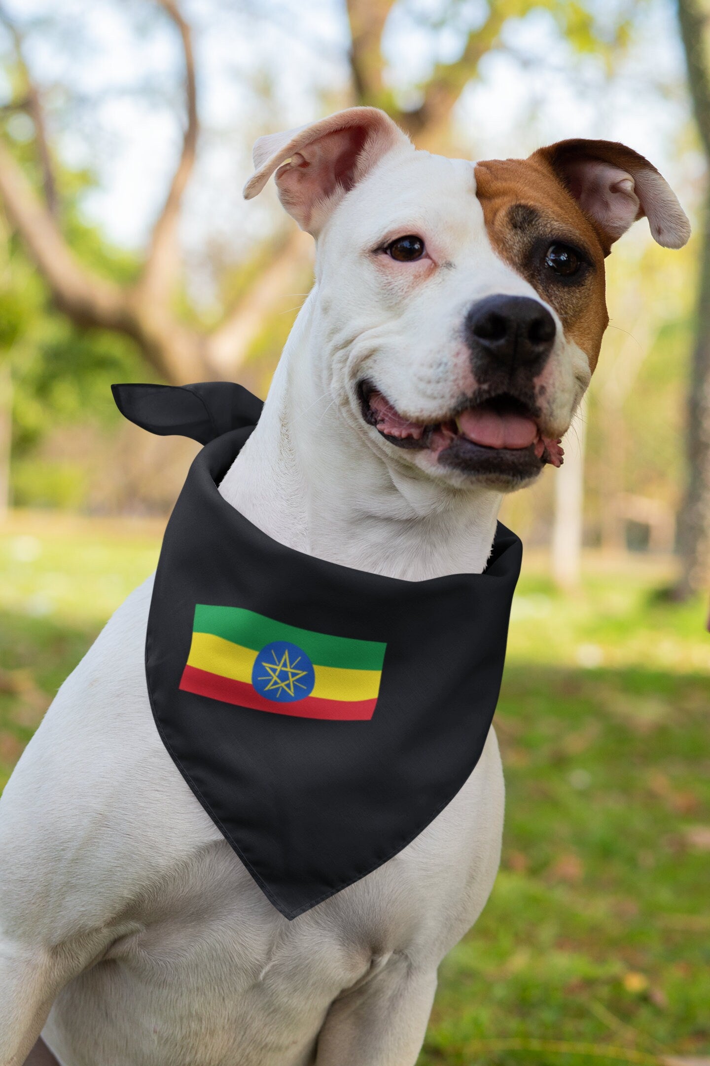 Ethiopia Flag Iron On Heat Transfer Vinyl HTV / Federal Democratic Republic of Ethiopia / Addis Ababa / Ethiopian
