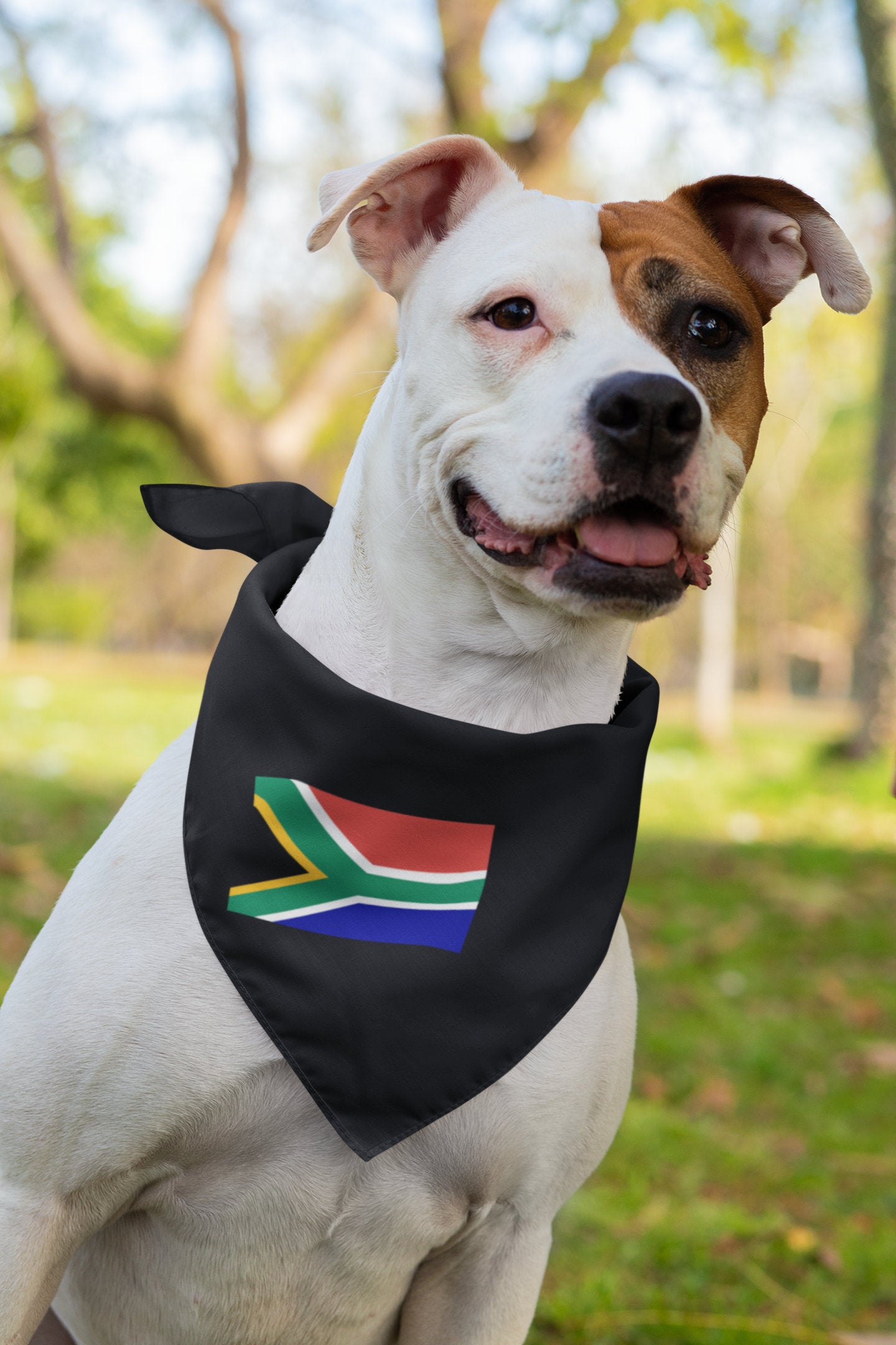 South Africa Flag Iron On Heat Transfer Vinyl HTV / Republic of South Africa / RSA / Pretoria / Cape Town / Bloemfontein / Johannesburg