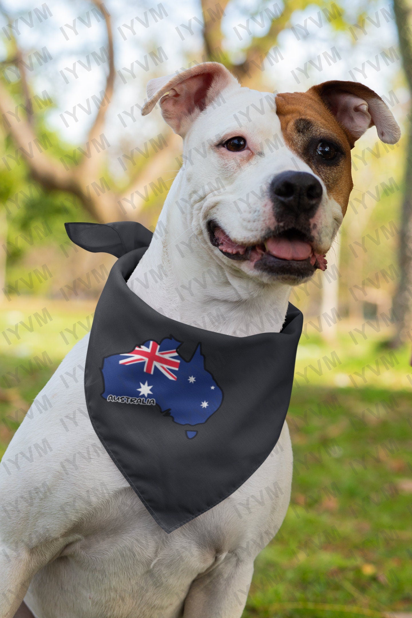 Australia Map Iron On Heat Transfer Vinyl HTV / Canberra / Australian