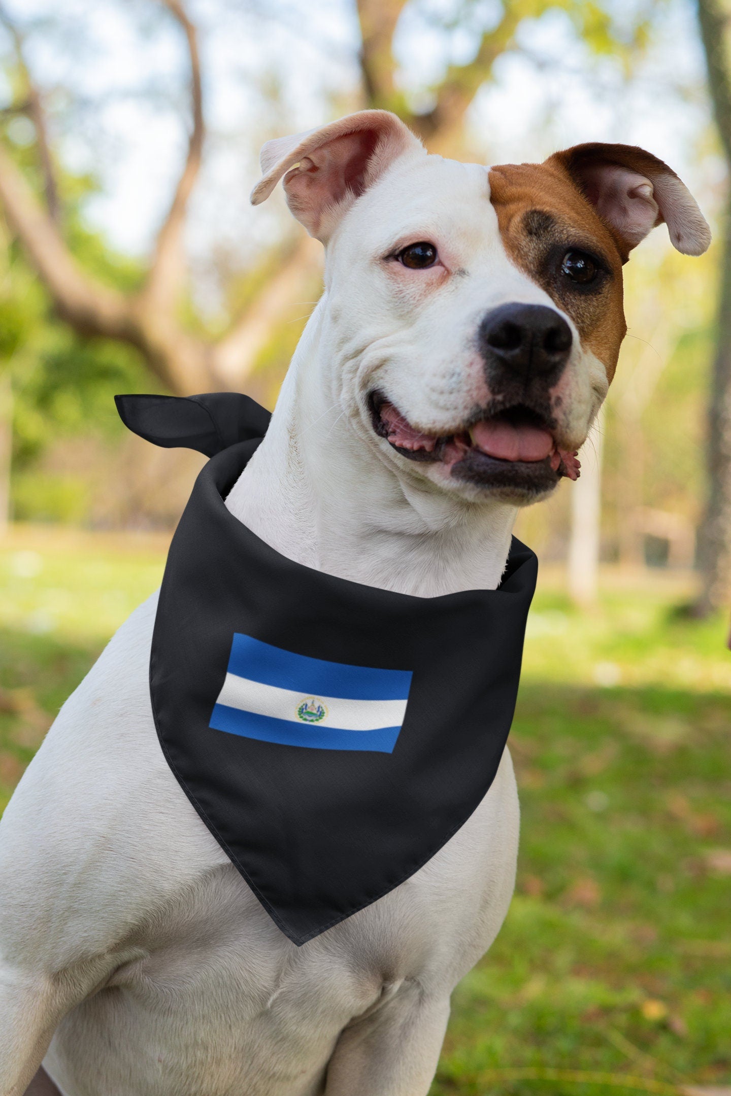 El Salvador Flag Iron On Heat Transfer Vinyl HTV / Republic of El Salvador / Dios, Unión, Libertad / San Salvador / Salvadoran Salvadorian