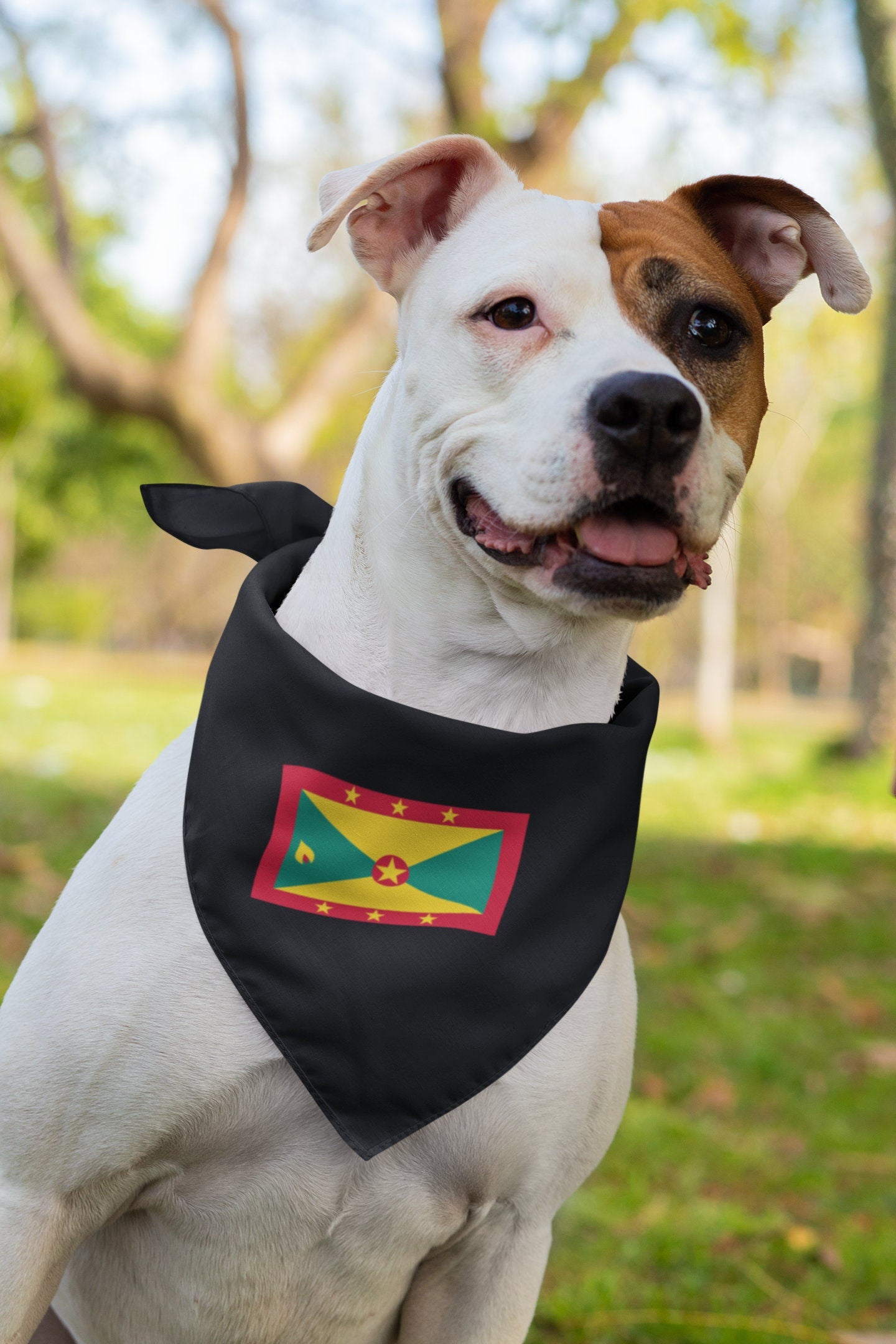 Grenada Flag Iron On Heat Transfer Vinyl HTV Gwenad Grenadian Creole French Ever Conscious of God We Aspire, Build and Advance as One People