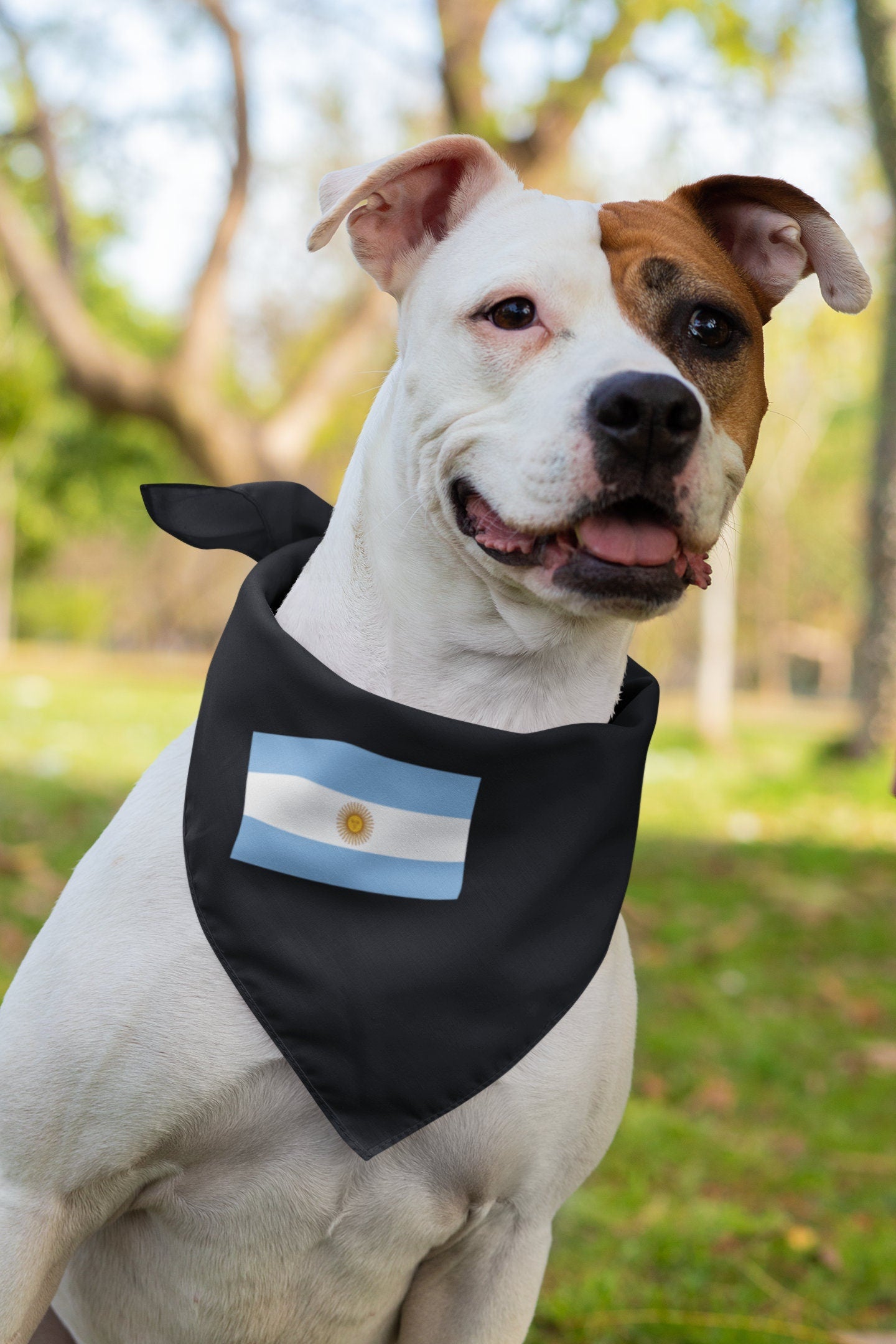 Argentina Flag Iron On Heat Transfer Vinyl HTV / Buenos Aires / En unión y libertad / Argentine Argentinian