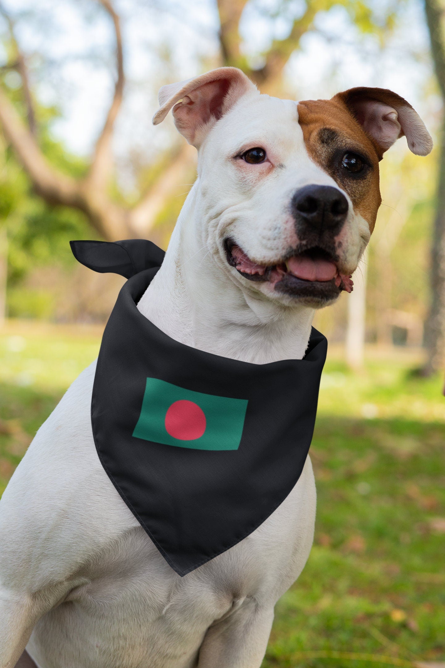 Bangladesh Flag Iron On Heat Transfer Vinyl HTV / Dhaka / Joy Bangla / the People's Republic of Bangladesh Bangladeshi