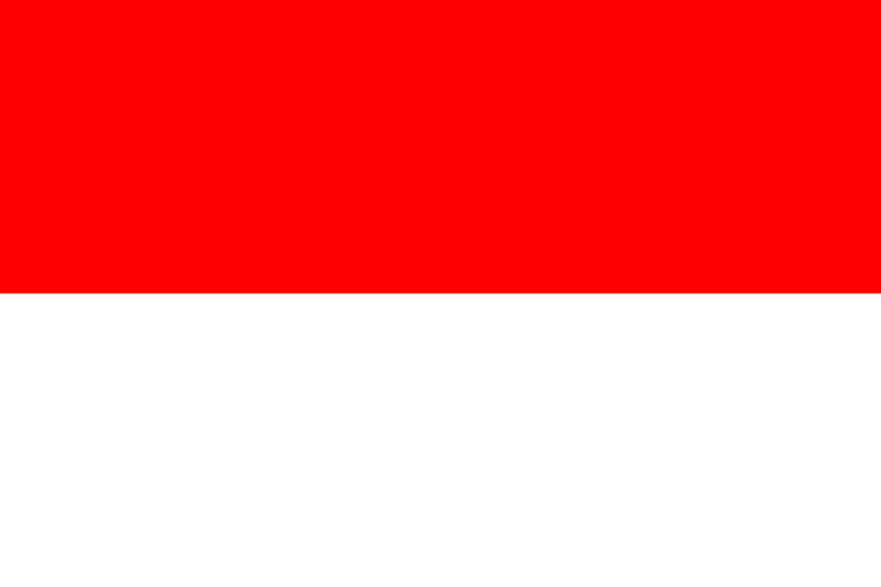 Indonesia Flag Iron On Heat Transfer Vinyl HTV / Republic of Indonesia / Republik Indonesia / Bhinneka Tunggal Ika / Jakarta / Indonesian