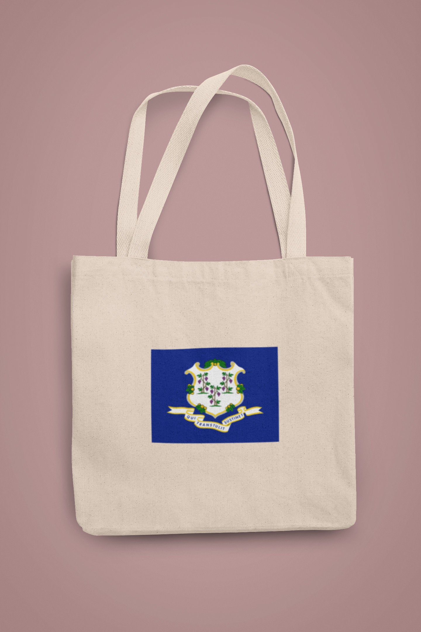 State of Connecticut Flag Iron On Heat Transfer Vinyl HTV Connecticut State  Hartford  The Constitution State  Nutmeg State  Provision State