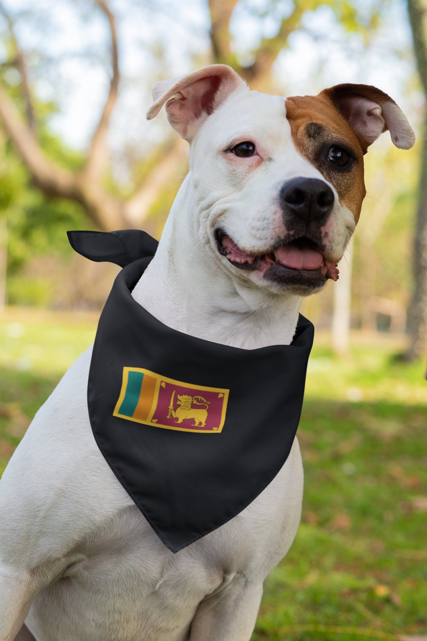 Sri Lanka Flag Iron On Heat Transfer Vinyl HTV / Democratic Socialist Republic of Sri Lanka / Ceylon / Sri Lankan