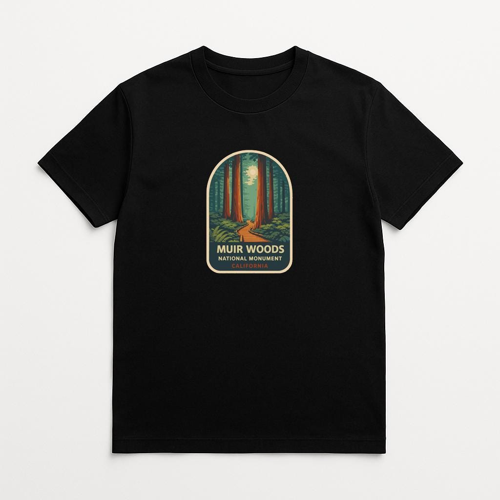 A black t-shirt with a graphic design depicting a forest scene with a path leading through the trees.