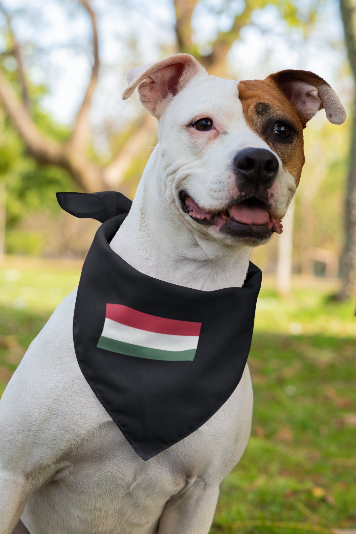 Hungary Flag Iron On Heat Transfer Vinyl HTV / Magyarország / Budapest / Hungarian