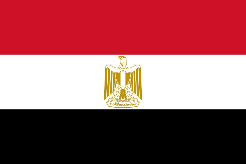 Egypt Flag Iron On Heat Transfer Vinyl HTV / Arab Republic of Egypt / Cairo / Egyptian