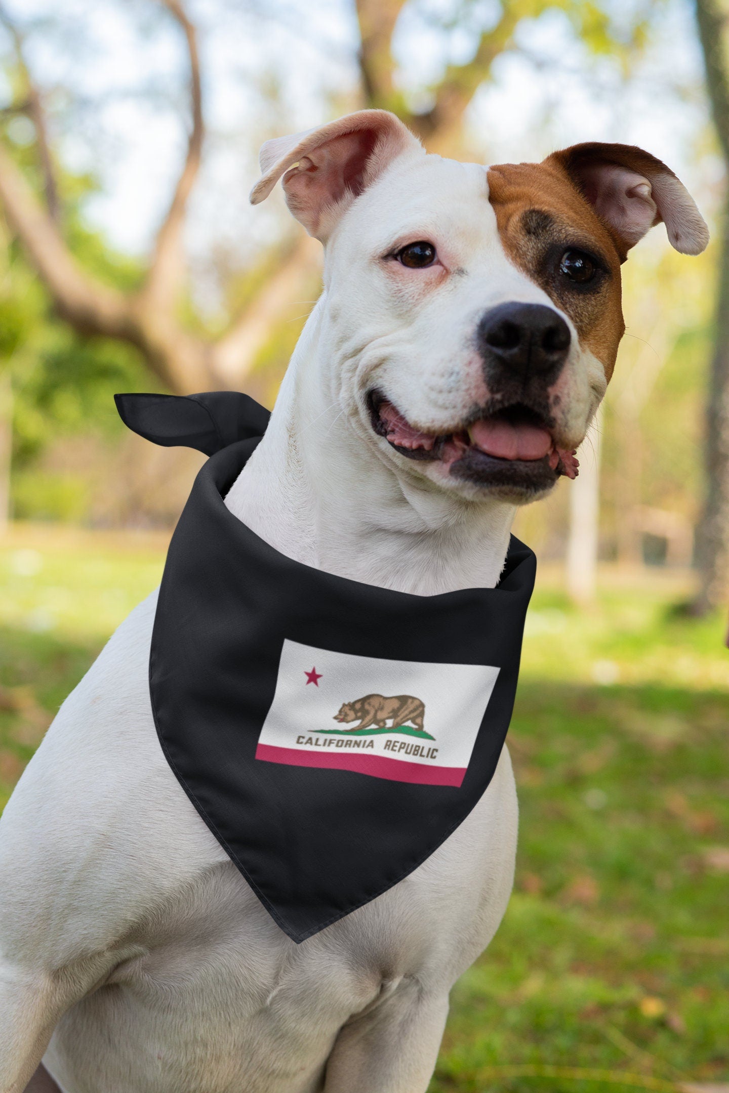 State of California Flag Iron On Heat Transfer Vinyl HTV California State  Sacramento  The Golden State  San Francisco Los Angeles San Diego