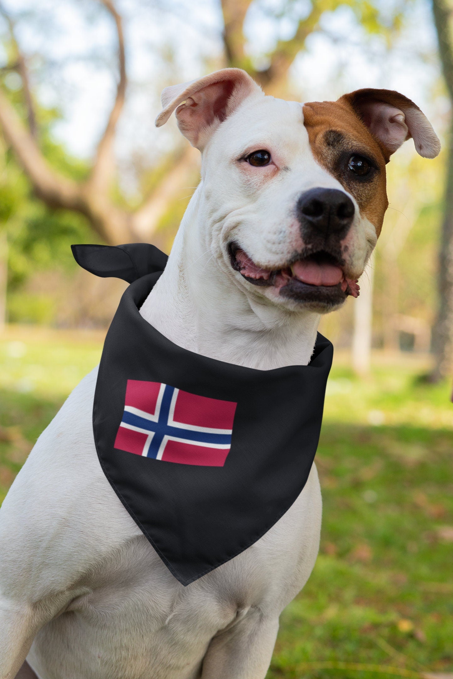 Norway Flag Iron On Heat Transfer Vinyl HTV / Norwegian / Kingdom of Norway / Oslo