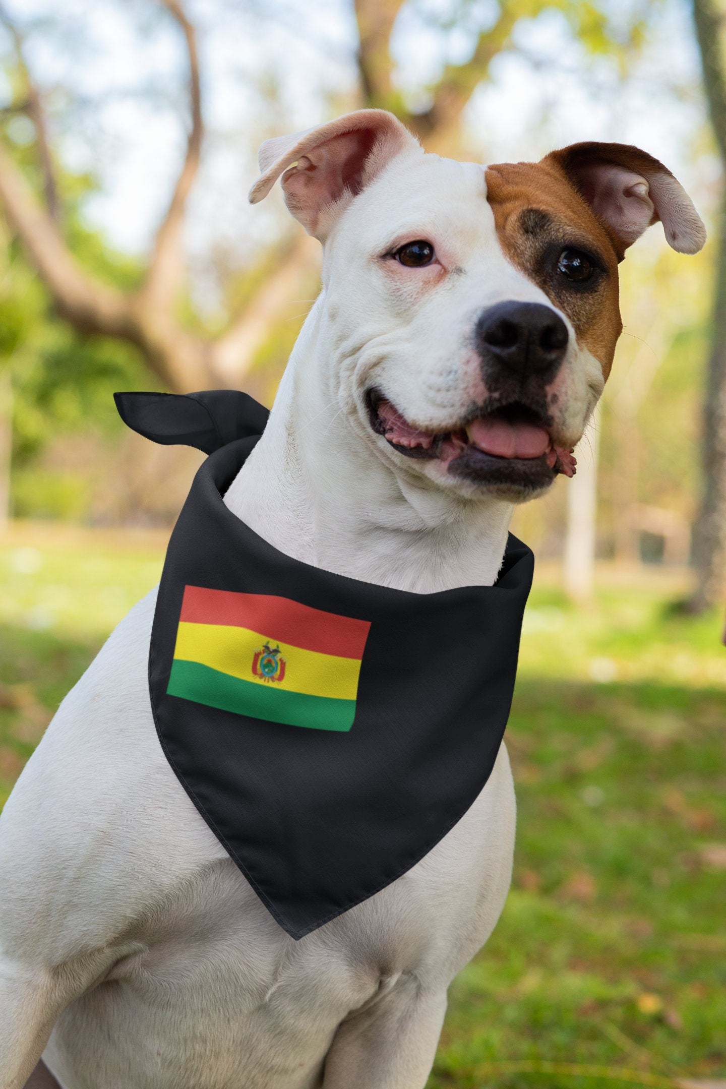 Bolivia Flag Iron On Heat Transfer Vinyl HTV / Sucre / La Unión es la Fuerza / the Plurinational State of Bolivia