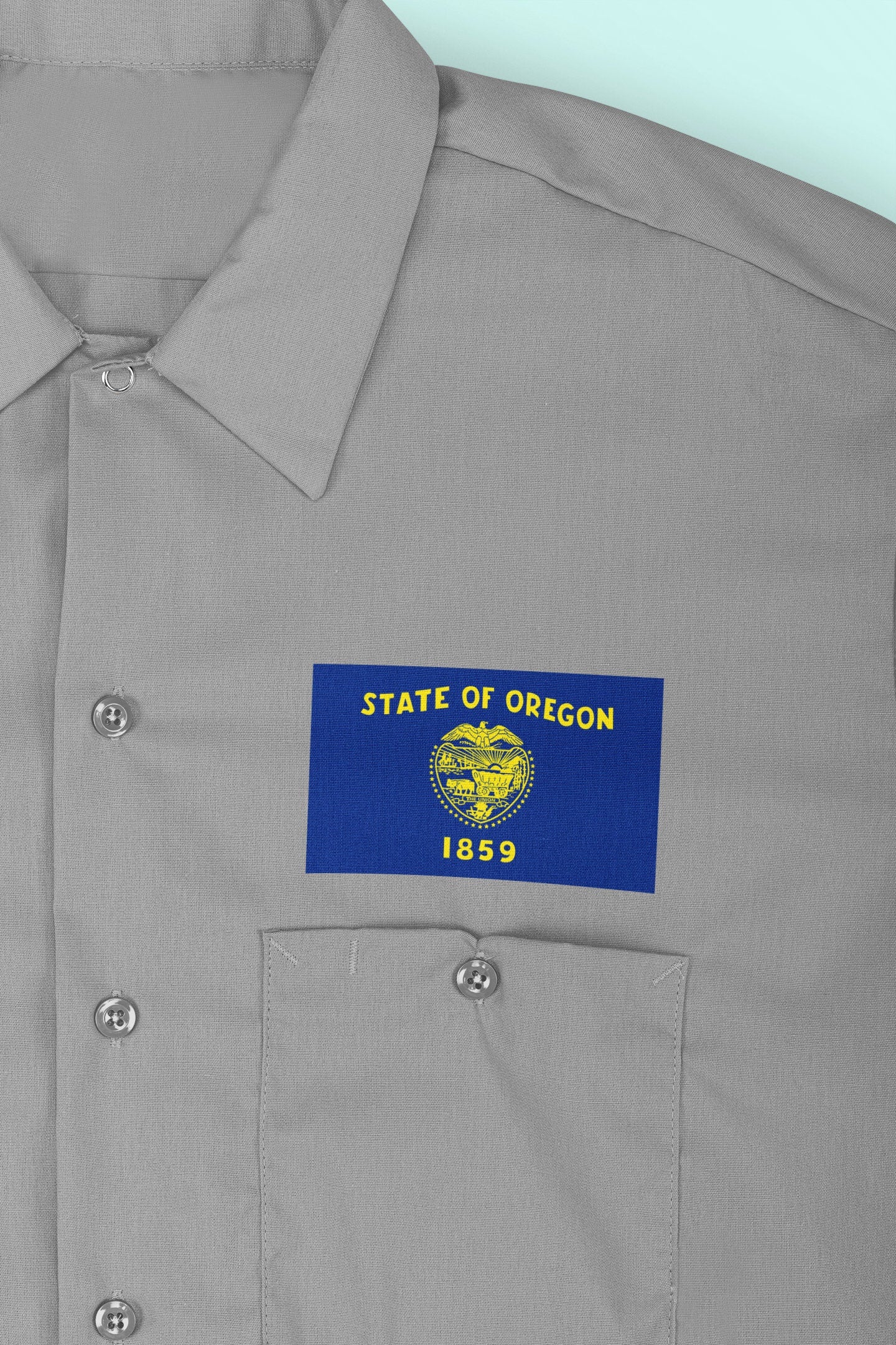State of Oregon Flag Iron On Heat Transfer Vinyl HTV  Oregon State  Salem  The Beaver State  Pacific Wonderland  Webfoot State